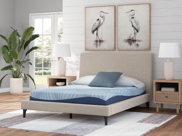 M204 - 8" Memory Foam (Firm) - Twin, Full